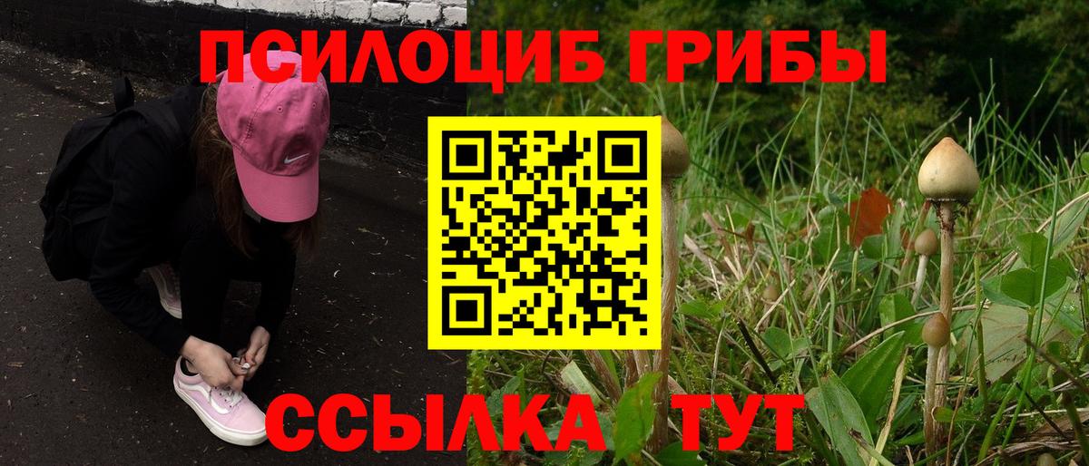 Минусинск  Псилоцибиновые грибы Psilocybine cubensis  Вход с VPN  Галлюциногенные грибы Psilocybine cubensis 