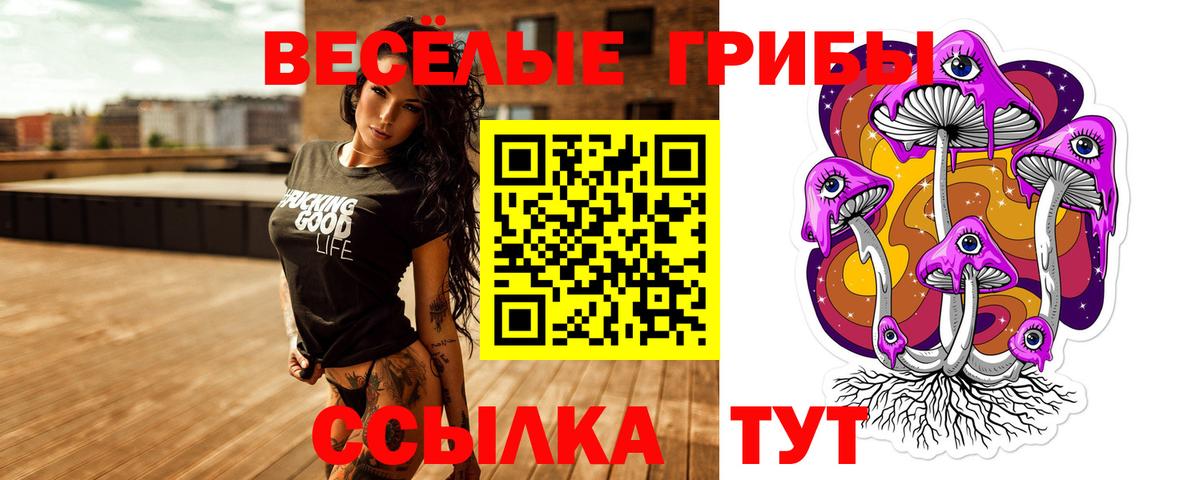 Галлюциногенные грибы мухоморы Минусинск